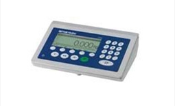 ICS4_5 Weighing Terminal