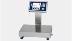 Bench Scale and Portable Scale
